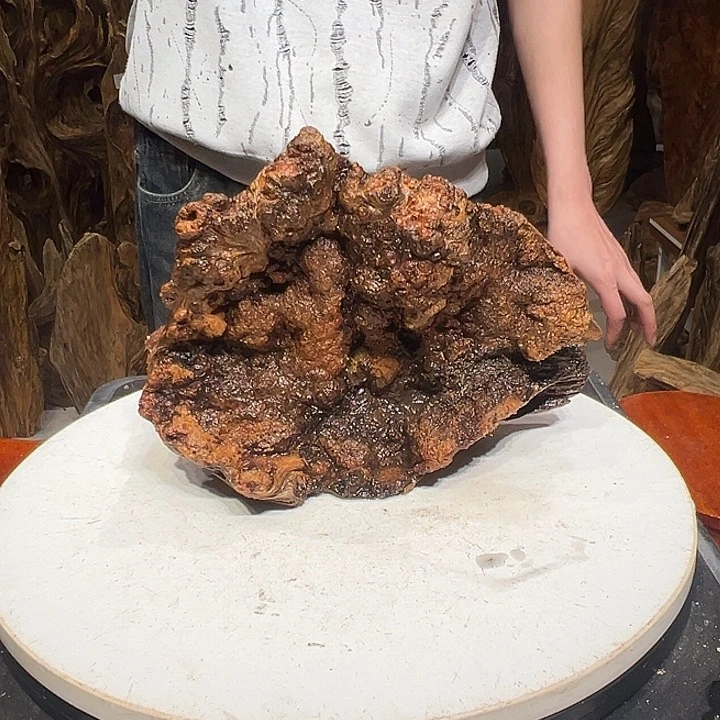 松木（琥珀木）瑞***^