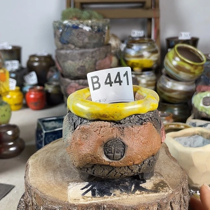 开播福利 陶瓷花盆 默认微次