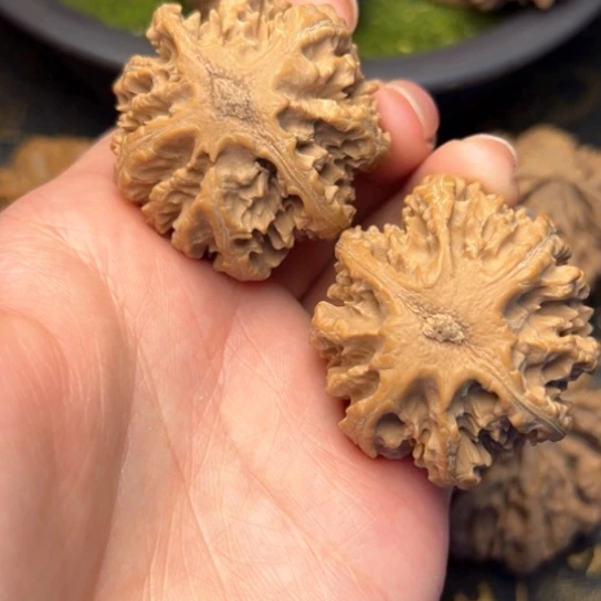 文玩核桃吊坠秦岭核桃12