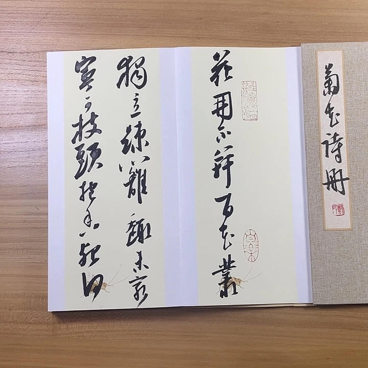 书法中书协会员作品