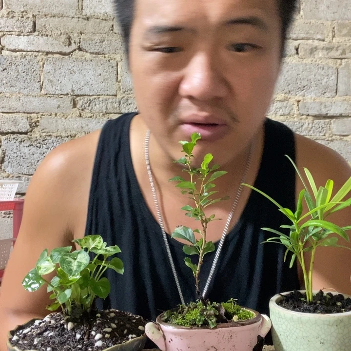 完全开放退款拉黑一物一拍169