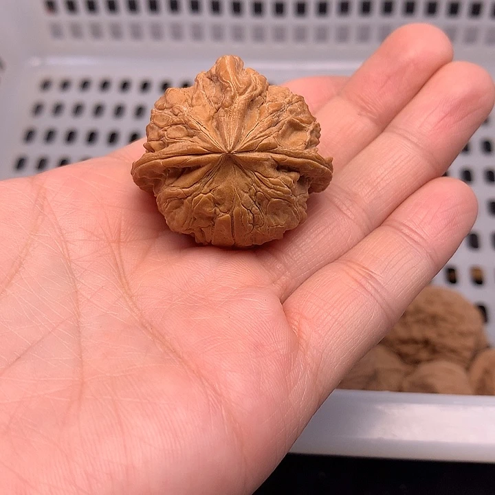 R***吊坠文玩核桃文玩核桃