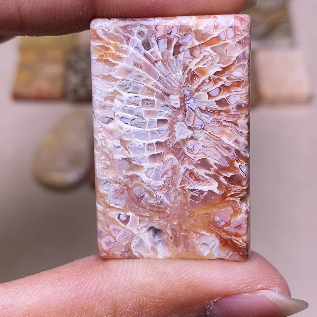 R****硅化玉合金珊瑚玉