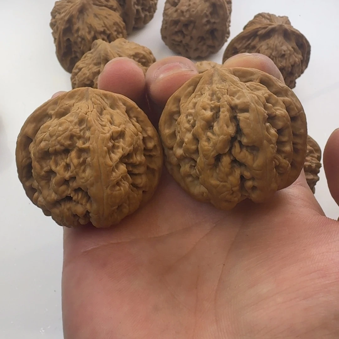 全品42大粗筋核桃