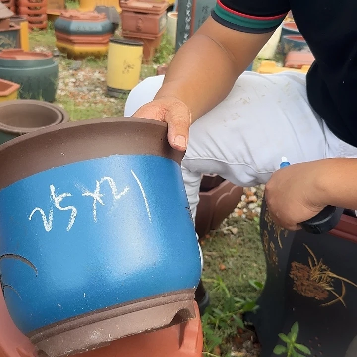 花盆紫砂紫砂花盆