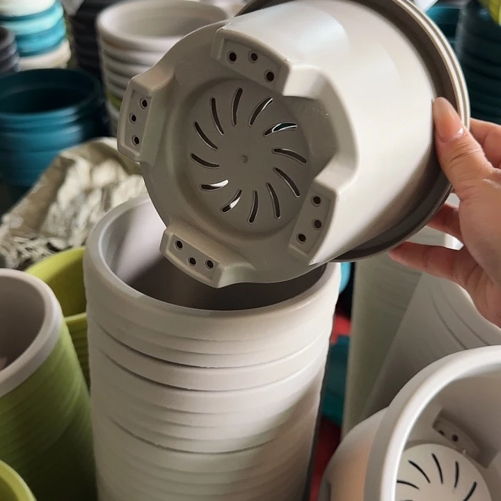 球根17口径10个无托灰白