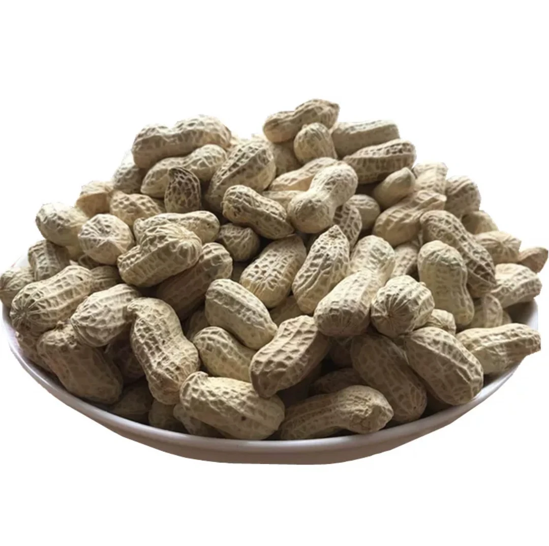 【山海汇】中国广东花生干