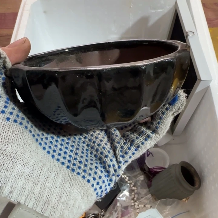 植***着世世代代的大大方方