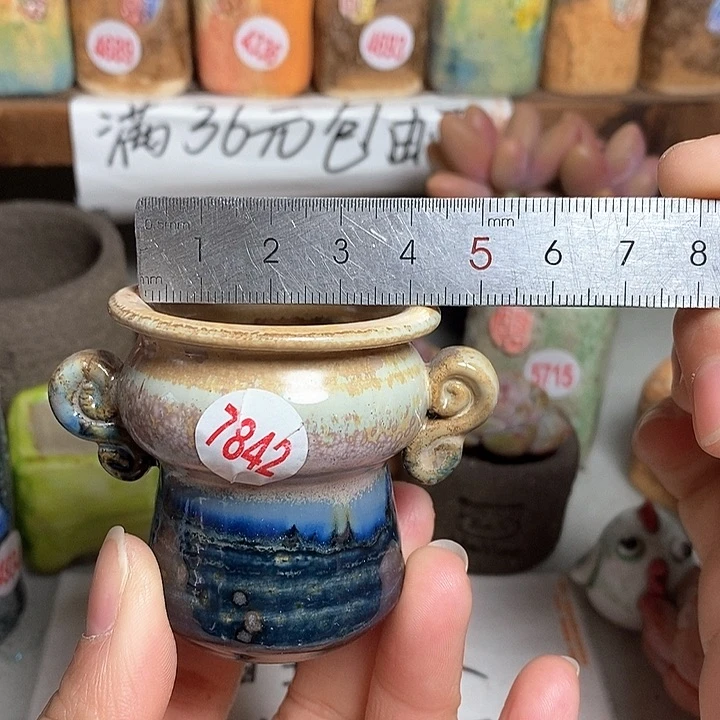 红陶拍5送一个小