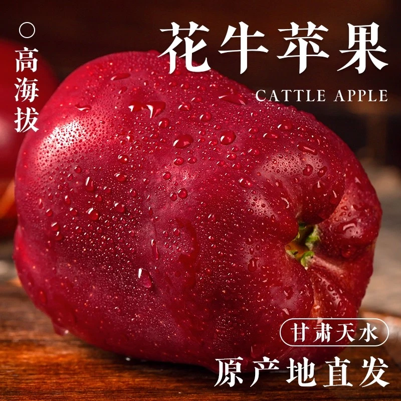 花牛苹果正宗甘肃天水9斤水果新鲜整箱当季糖心红蛇粉面丑平安果