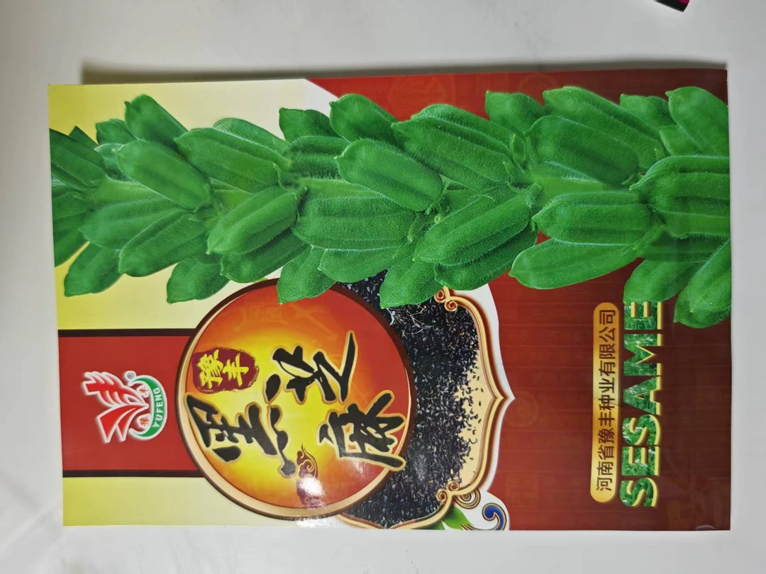高产稳产黑芝麻种子