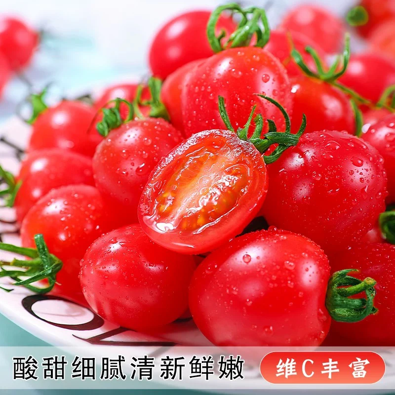 新鲜自然熟酸甜可口圣女果当季水果现摘现发