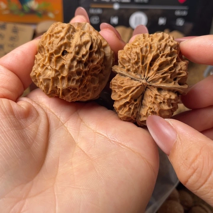 大***軍如图所示一物一拍100