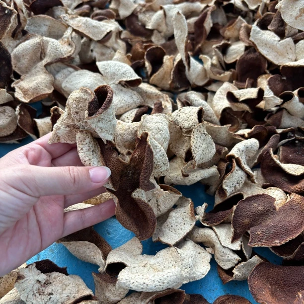 新会梅江6年陈皮（断片福利）