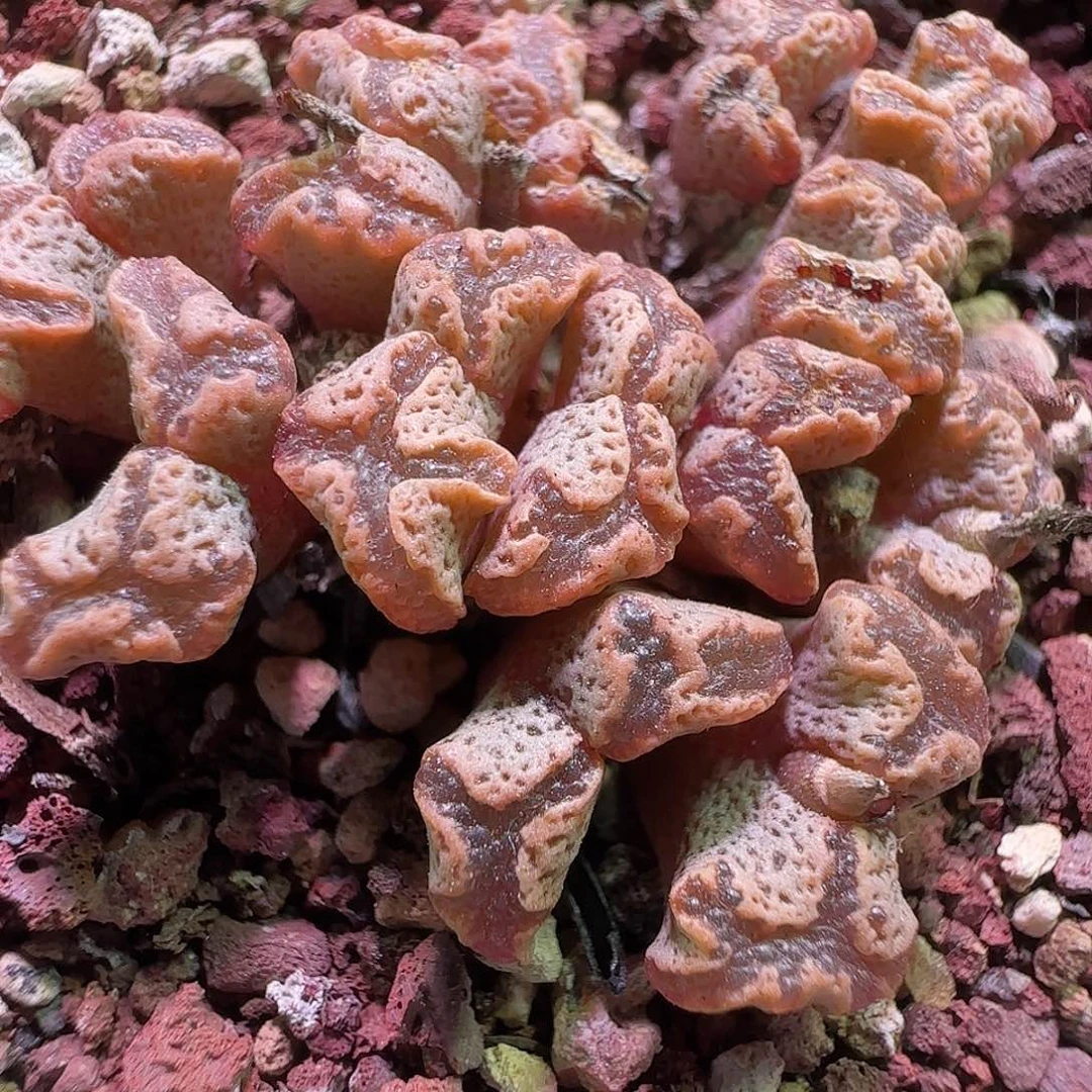 哈哈哈哈哈哈哈哈。 647