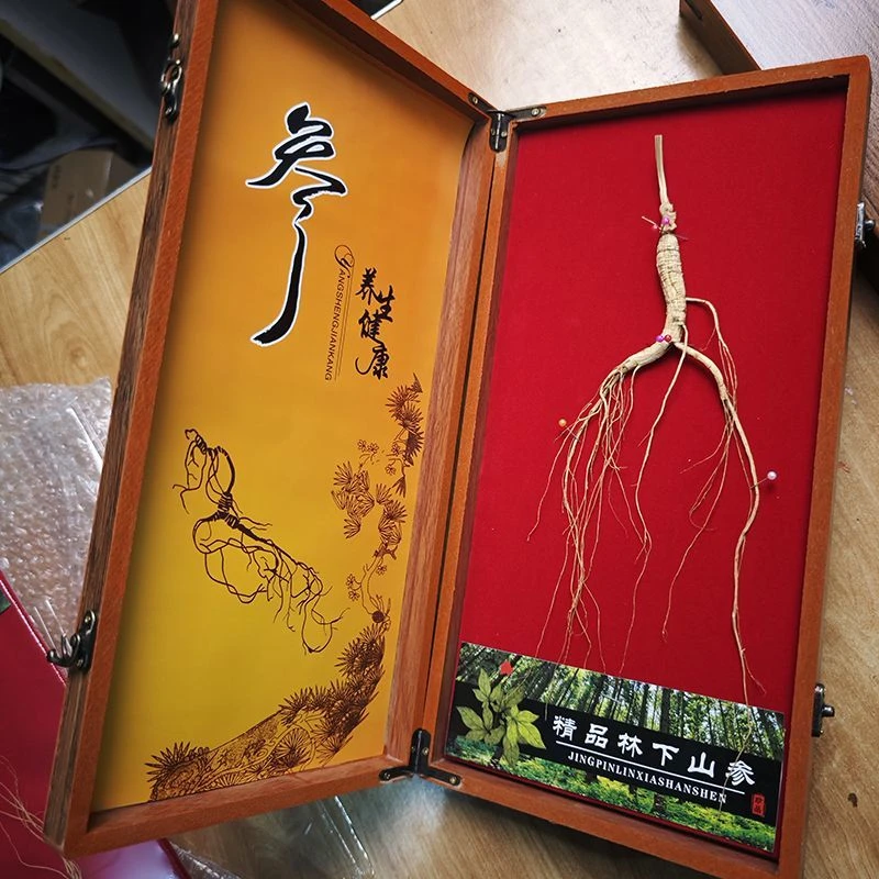 林下山参礼盒装1套单支6g盒装非野山参人参生晒参