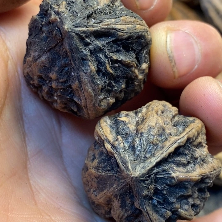 吊坠桃核娜姐真的423