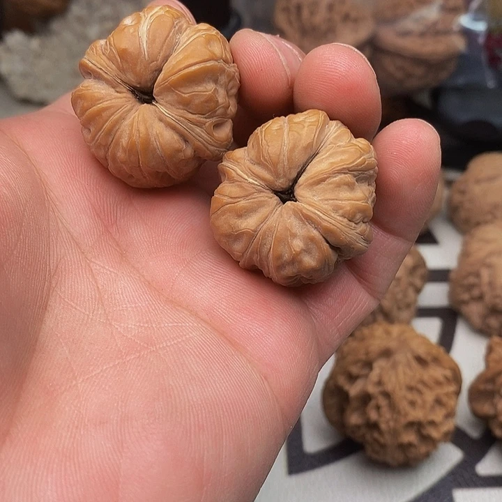 桃核把件乐****）元宝异形