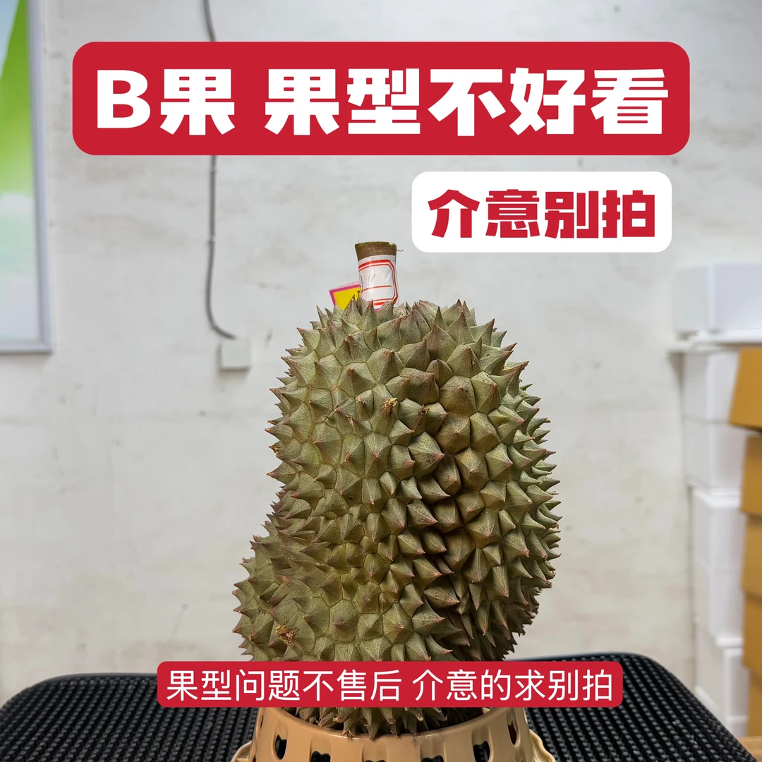小小宋 圣泰 泰国南部空运新鲜金枕榴莲B果