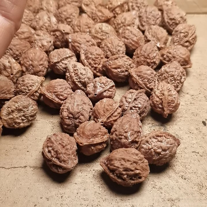 文玩核桃手串王****3东北秋子异型籽27