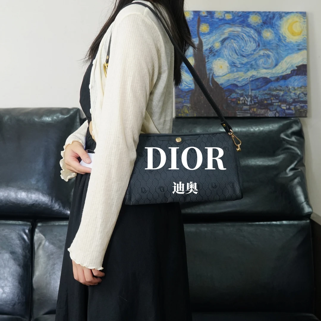 95新 DIOR/迪奥 老花单肩包/EE05522051/2051