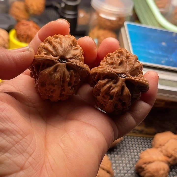 把件桃核全品血麒麟边40肚44