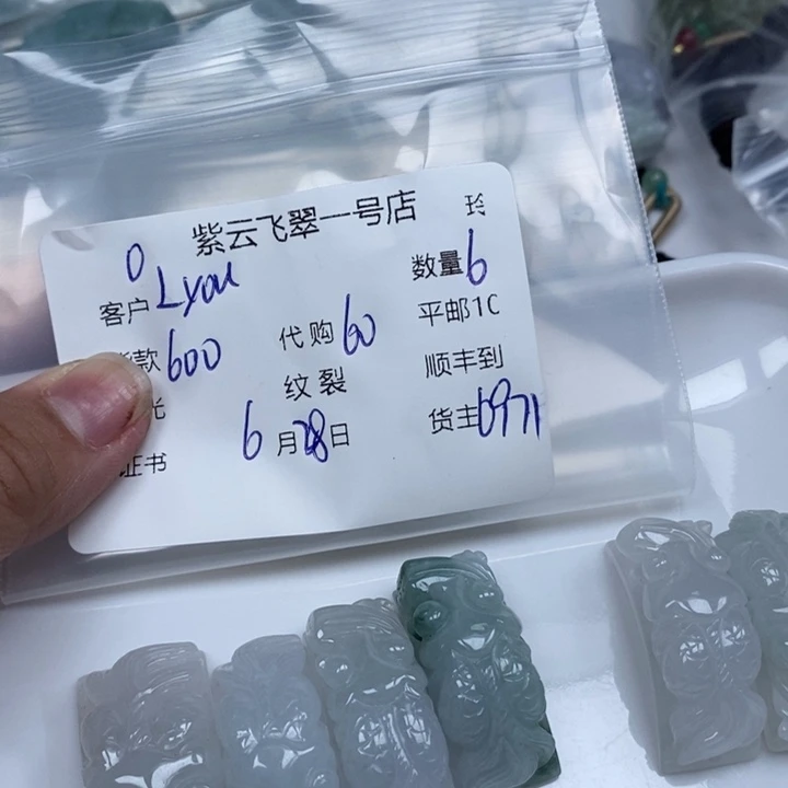 翡翠未镶嵌颈饰L****e