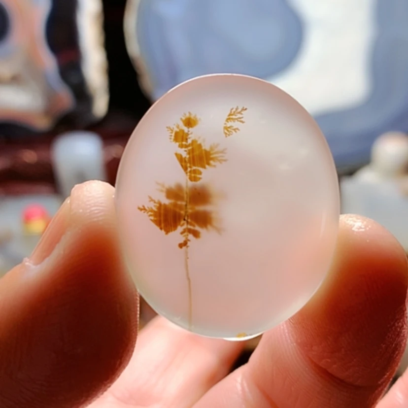 【闪购商品】未镶嵌颈饰玛瑙/玉髓