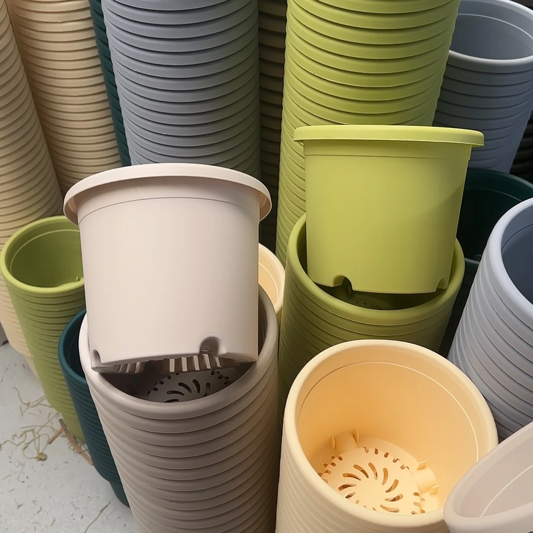 微瑕3号果绿5，灰白5无托