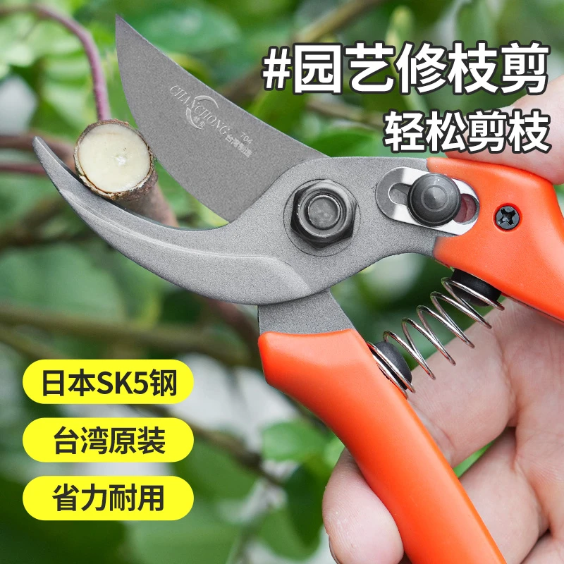 蟾虫704台湾原装进口修枝剪园艺剪刀果树修枝专用树枝剪刀剪树枝