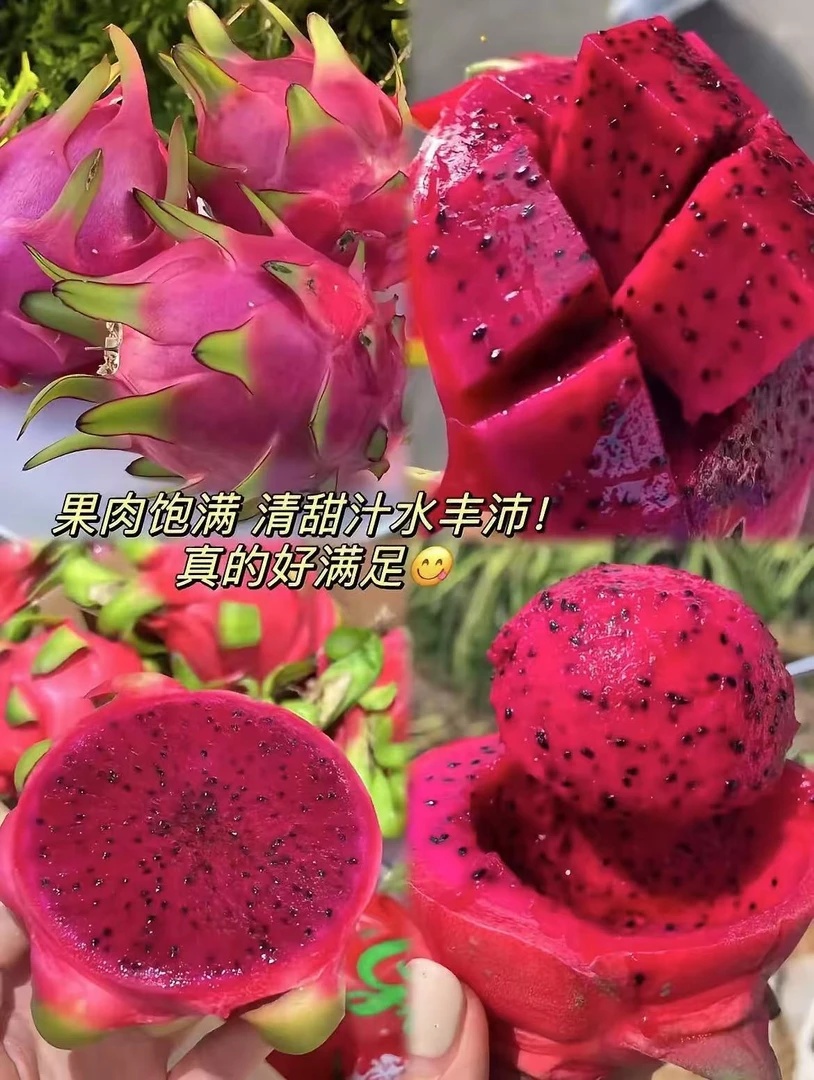 【爆甜】正宗云南火龙果