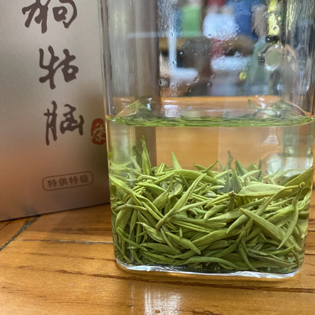 顺丰包邮2025新茶（狗牯脑特贡绿茶）高山云雾茶明前高山芽尖绿茶