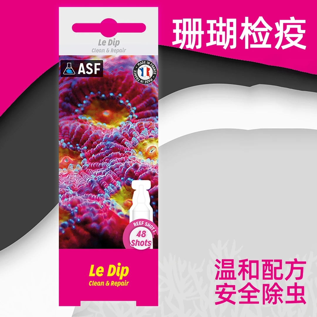 法红珊瑚检疫水SPS检疫水LPS除扁虫红虫海蜘蛛扁虫水安全保护珊瑚