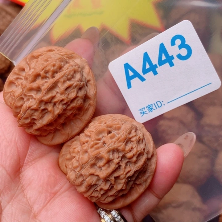 血麒麟37尺443号123