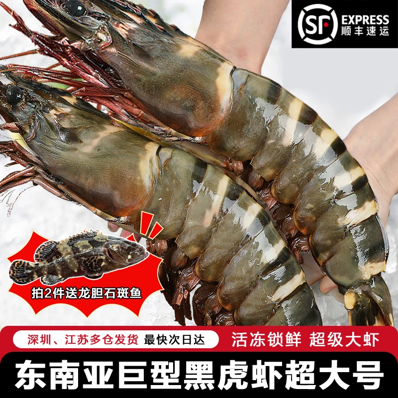 海泽鲜东南亚进口黑虎虾 新鲜海捕 速冻冰鲜大虾送礼 1000g盒装