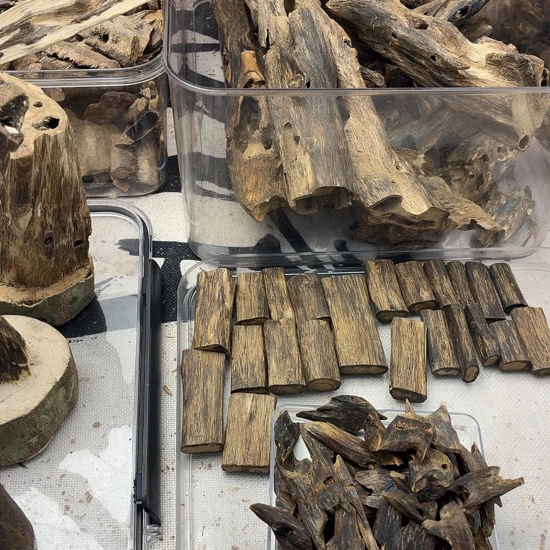 呕油块料80克包邮到家