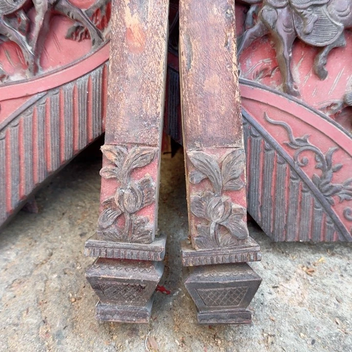 香榧木大*这么样还没