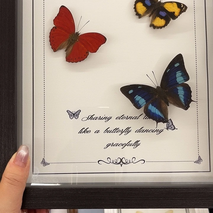 歪***ɞ血漪犬安黄裳眼蛱蝶组合