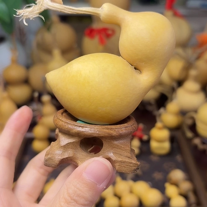 ****和弓背蚂蚁精品葫芦