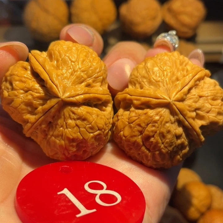 老树黄金三棱尺寸40
