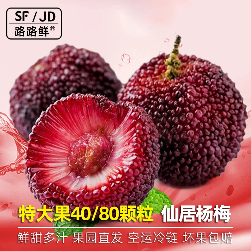 【8A特大果40/60/80颗】仙居东魁杨梅贡品级23-28g现摘航空生鲜冷链