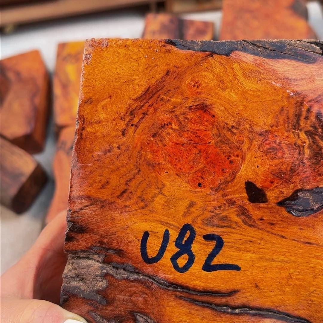 香榧木拉**哥贵黄彩色瘤疤料子