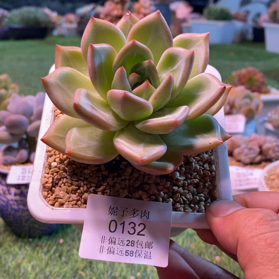 0132啊啊啊啊啊啊啊啊啊