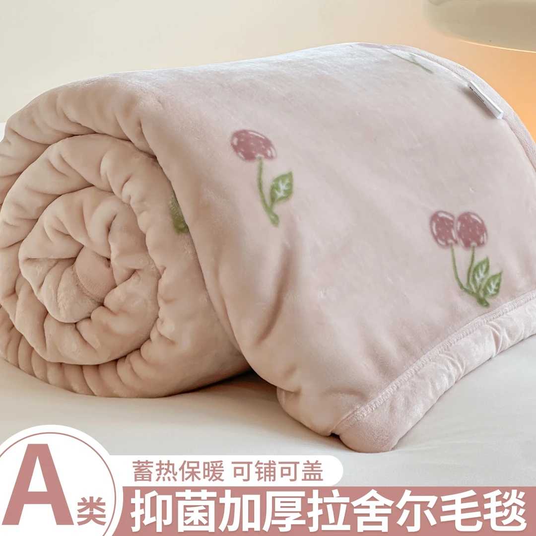 冬季拉舍尔毛毯加厚保暖牛奶绒珊瑚绒宿舍盖毯小毯子沙发毯床上用