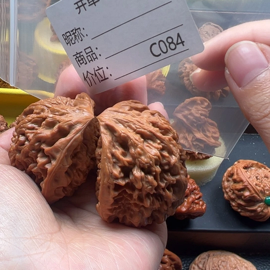 49蛇王文玩核桃11111