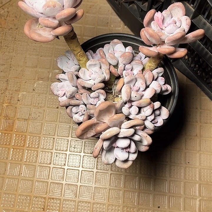 851/////////////////