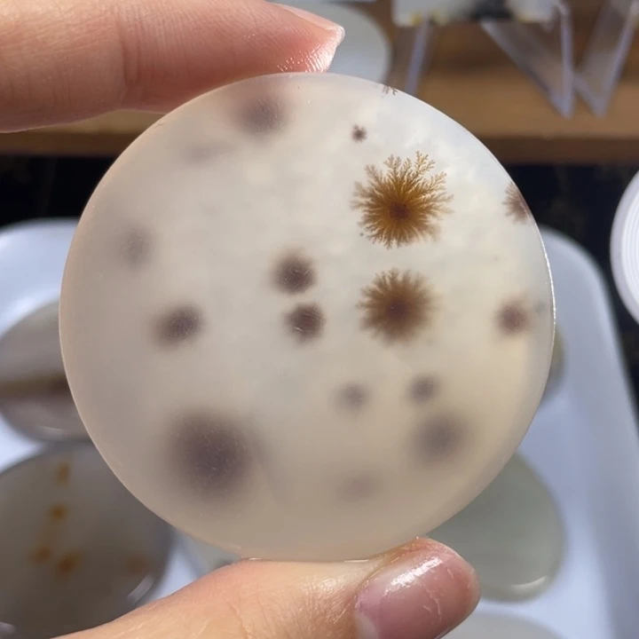玛瑙/玉髓未镶嵌玛瑙象形福利款