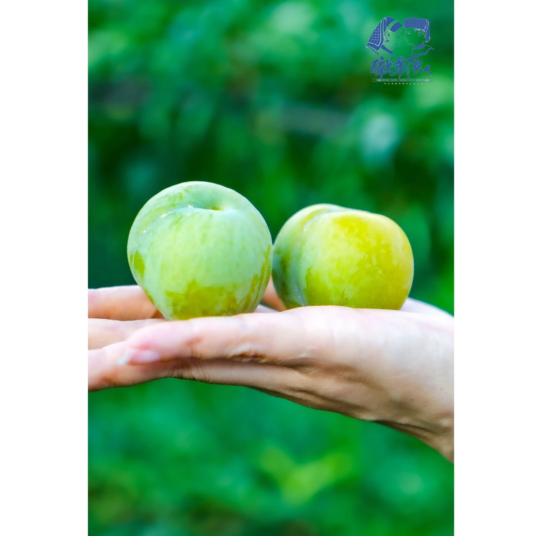 正宗贵州六马蜂糖李新鲜现摘脱骨李大果果径45--49mm50枚一箱包邮