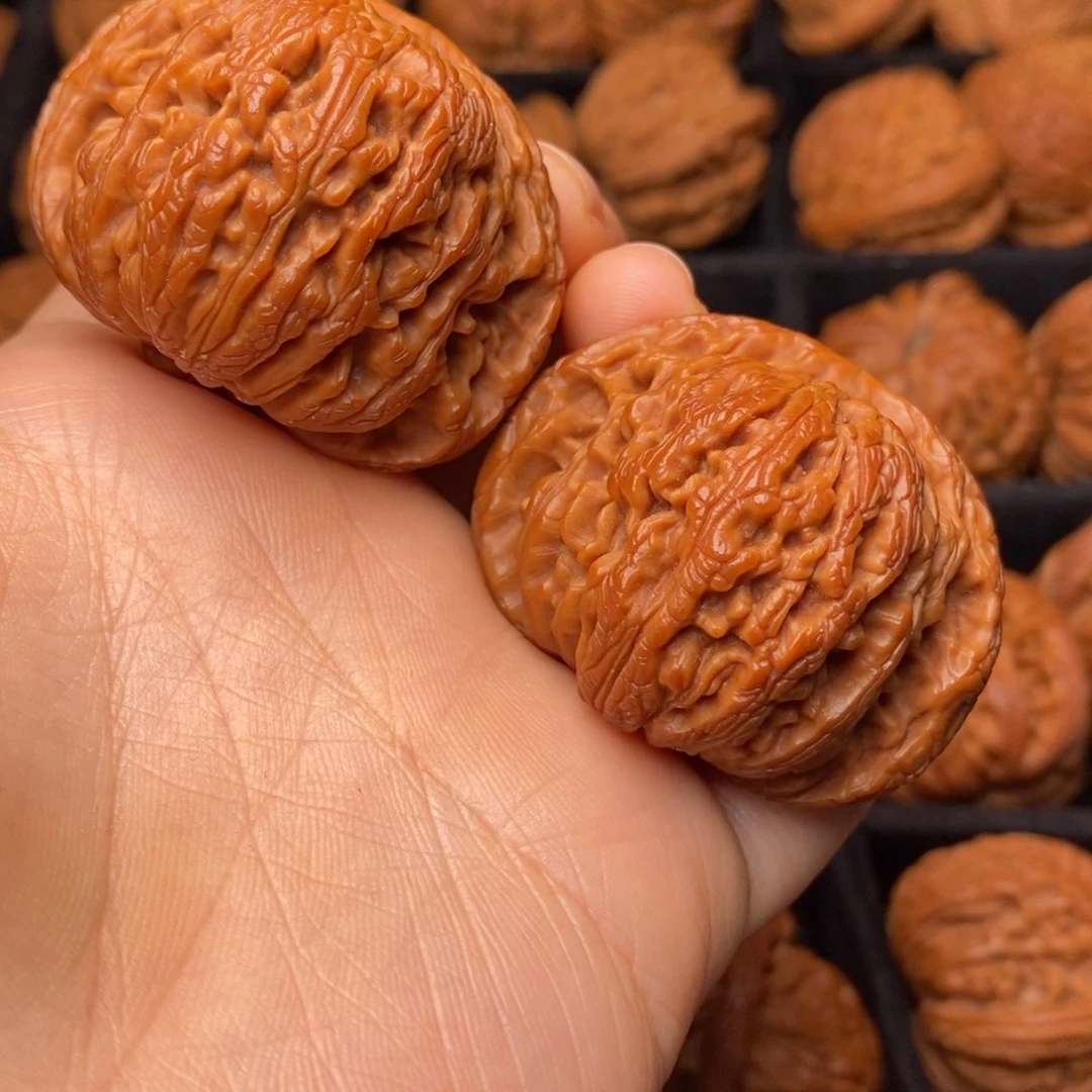 秦岭野生文玩核桃