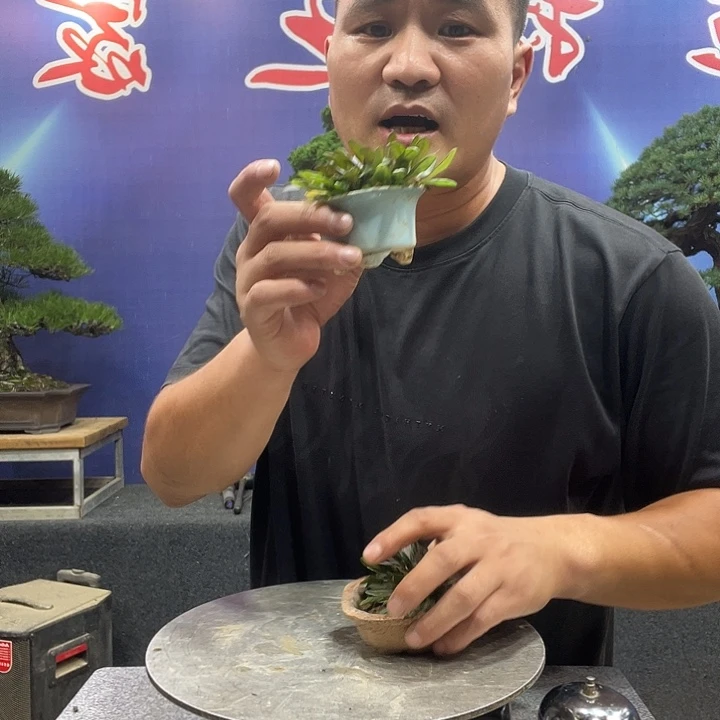 无花朵122345355556